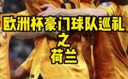 关于荷兰队意外失利，面临晋级压力赛局的信息