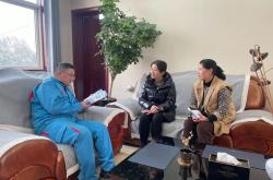 判罚引争议，观众疑虑不安，裁决细节被关注的简单介绍