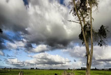  纳达尔个人资料简介德约科维奇 